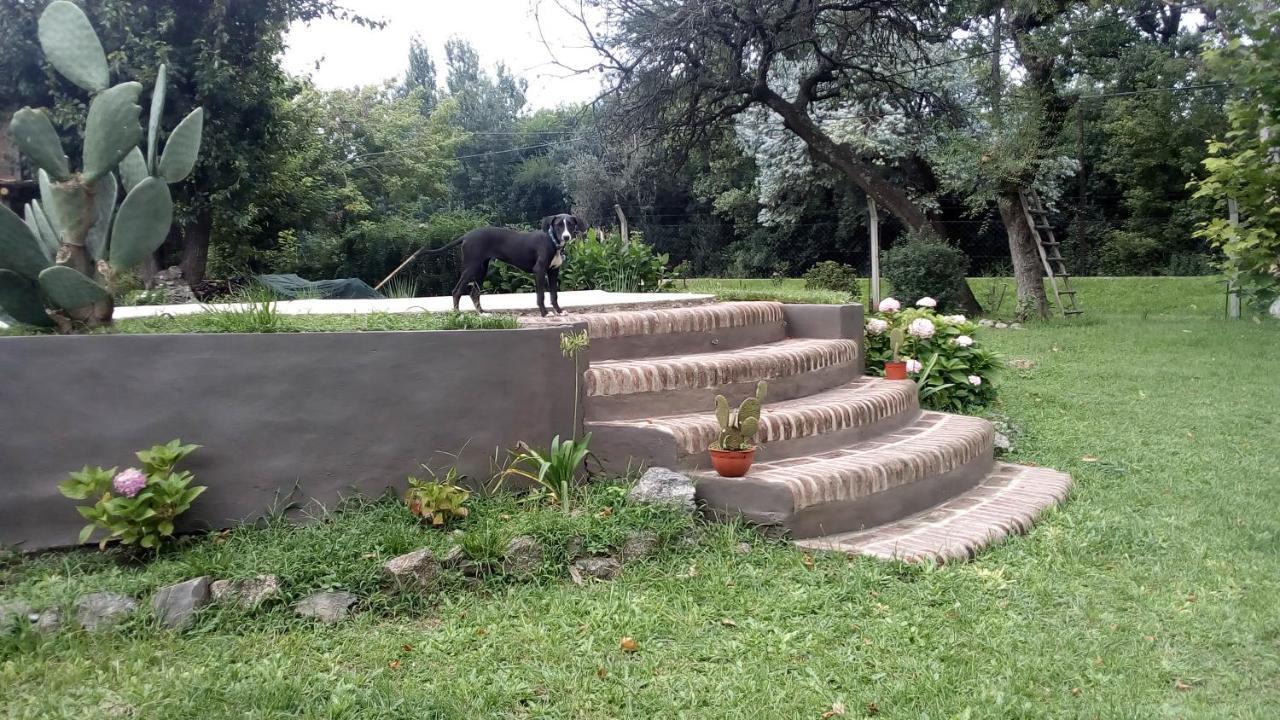 Cabanas Los Platanos La Granja Exterior foto